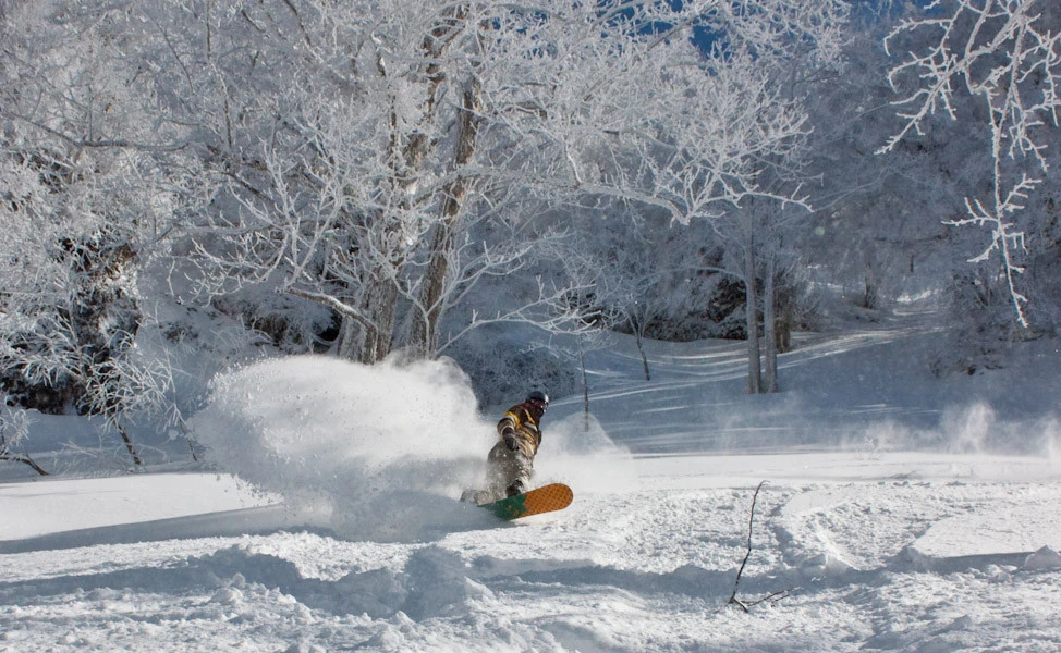 Myoko & Nozawa Ski Package