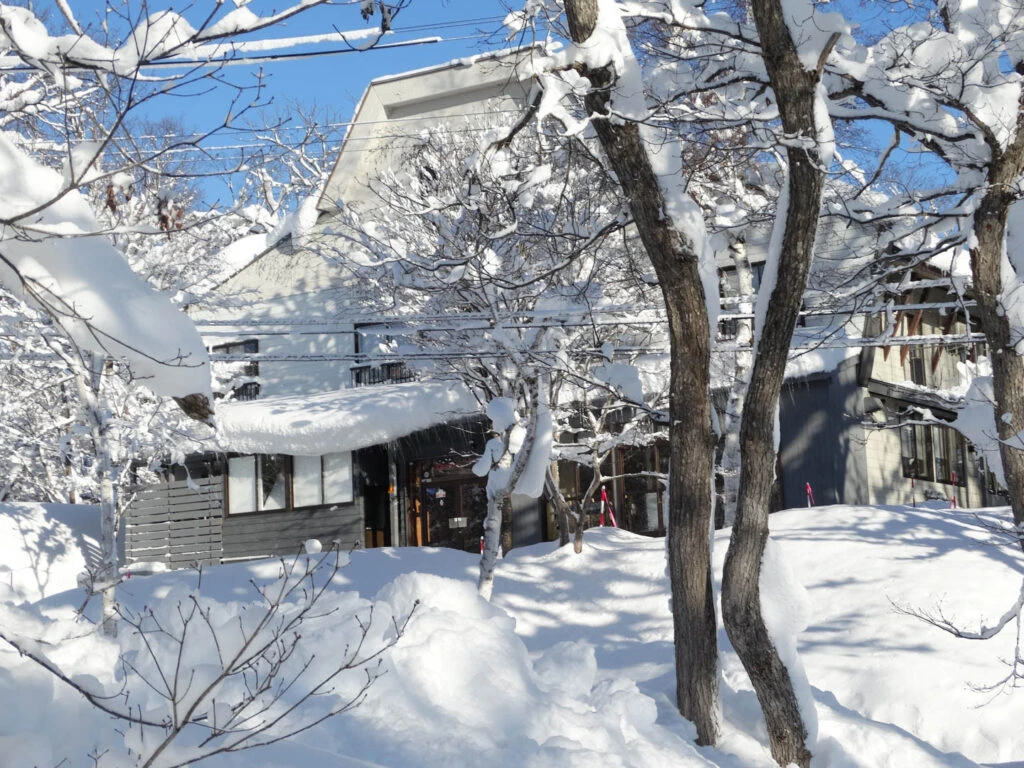 Hokkaido v Myoko