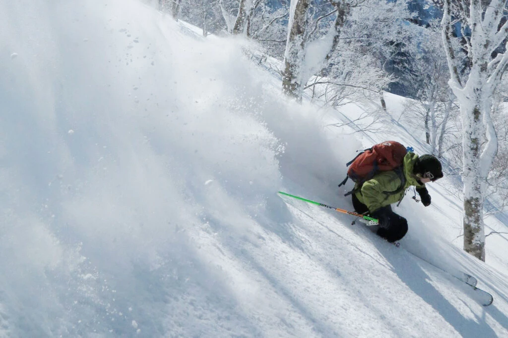 nozawa backcountry