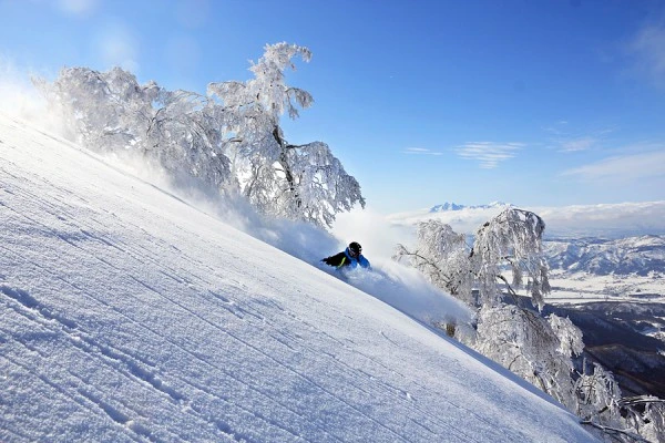 nozawa onsen backcountry