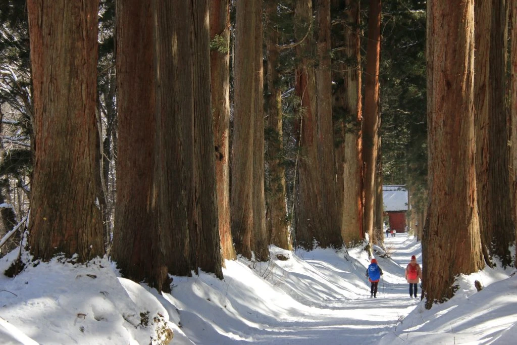 Togakushi Shrine