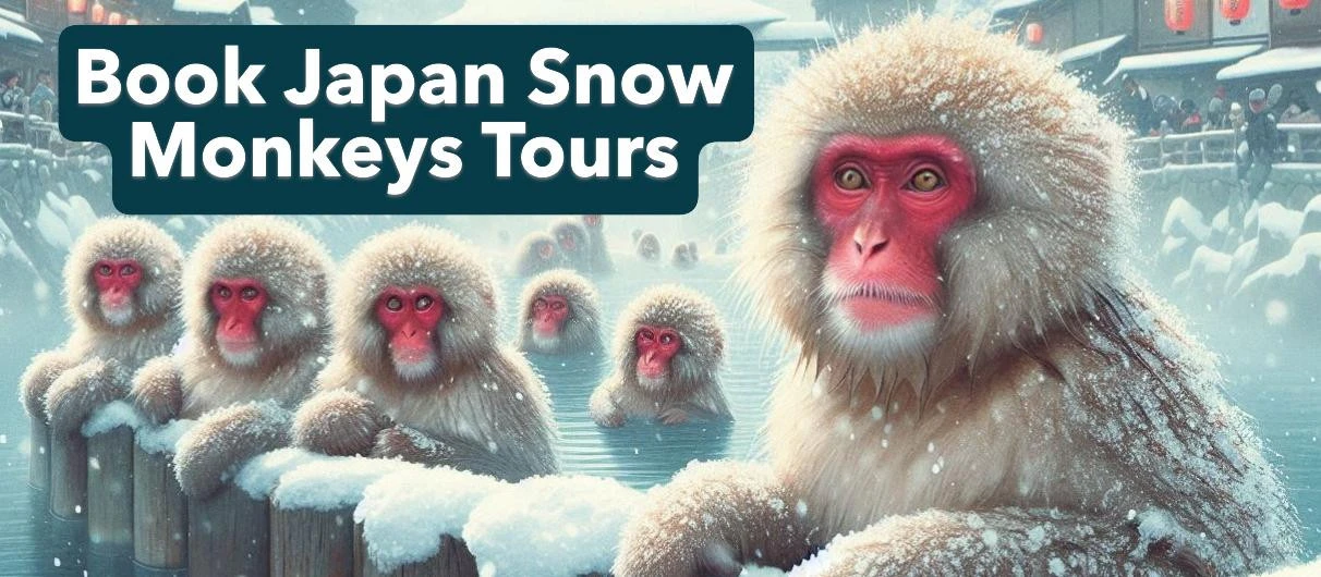 Book Japan snow monkey tours. La Niña Japan, La Nina Japan, Nagano season forecast
